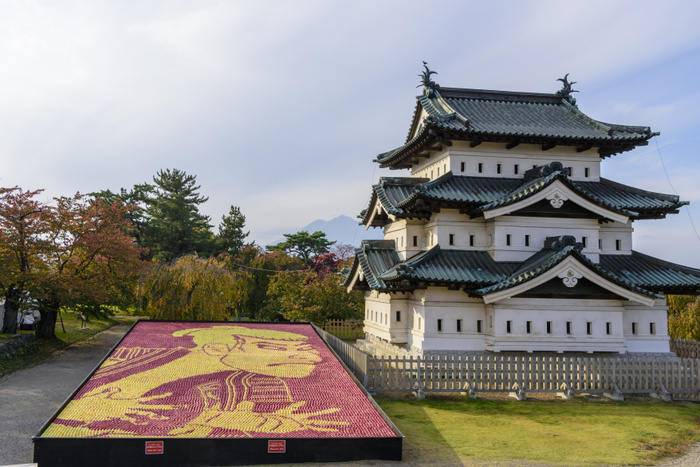 Ukiyoe of the castle tower and apples in Hirosaki Park, Aomori Prefecture