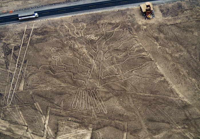 The Tree Geoglyph, aerial view, Nazca, Ica Region, Peru The Tree Geoglyph, aerial view, Nazca, UNESCO World Heritage Site, Ica Region, Peru, South America, Photo by Karol Kozlowski