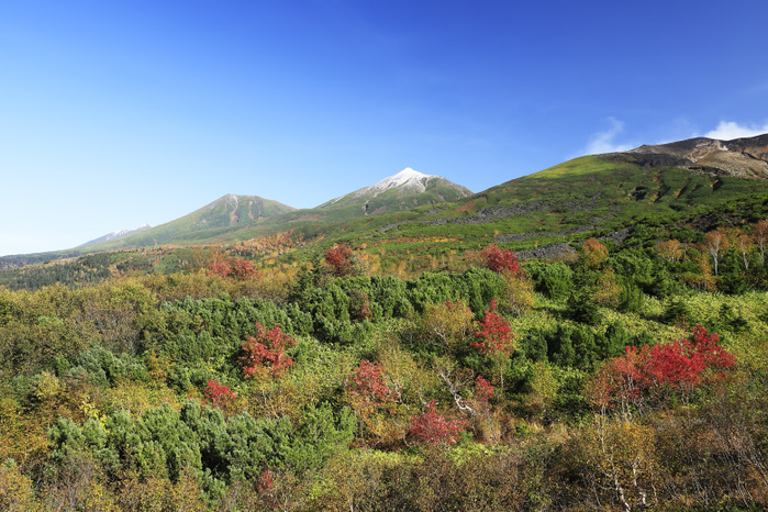 Autumn leaves and the Tokachi Mountain Range