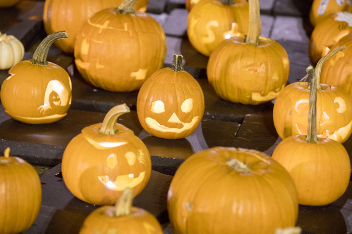 Pumpkin float October 20, 2017,  Frog Pond, Boston Common, Boston, Massachusetts, USA: 4th Annual Pumpkin Float takes place at Frog Pond featuring floating pumpkins, luminaries and fun family activities on October 20, 2017.  About 1600 pumpkins are floated according to the organizer.