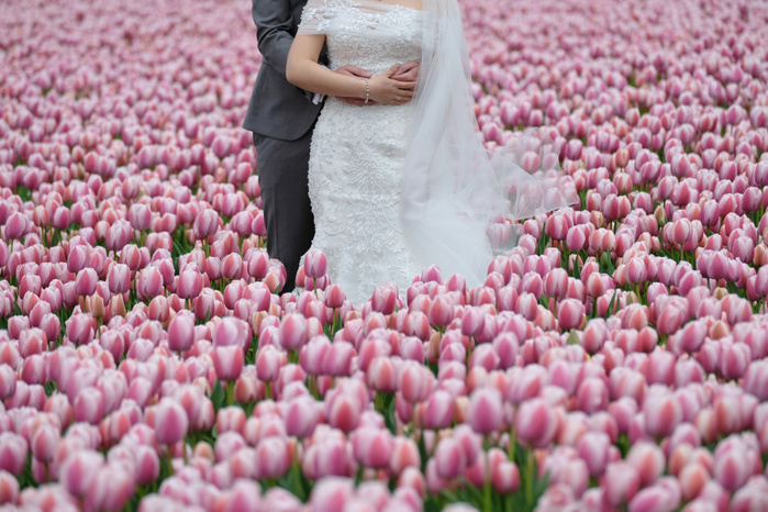 Tulip Field, Holland A newly wed couple poses in a tulip field for a photo shoot April 28, 2018, in Noordwijkerhout, Netherlands.   Photo by Yuriko Nakao AFLO   