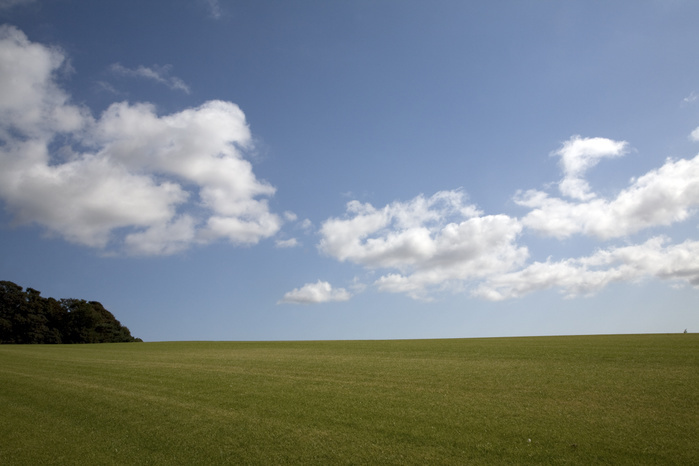 White fluffy cumulus clouds over field of turf grass, Sutton, Suffolk, England