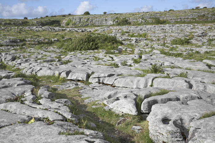 Carboniferous limestone rocky surface with clints and grykes, the Burren, County Clare, Ireland Carboniferous limestone rocky surface with clints and grykes, the Burren, County Clare, Ireland
