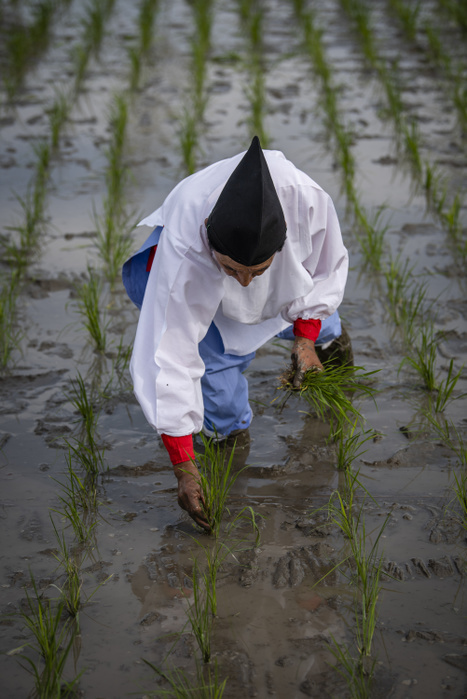 Japanese Rice Planting Ceremony JUNE 3, 2018   A man plants rice seedlings during Yuki Saiden O taue Matsuri, a rice planting ceremony and festival in Okazaki, Japan.   The festival takes place at a special rice field for Shinto dieties called a saiden. Similar events are held during the rice planting season throughout Japan.  While most rice planting in Japan is now done by machine, festival participants plant rice by hand. They also wear traditional clothing, and perform traditional song and dance.  Photo by Ben Weller AFLO   JAPAN   UHU 