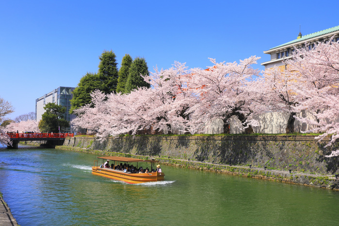 Okazaki River Cherry Blossom Lined River, Keiryu Bridge and Juseki-Bune Tour (Kyoto)