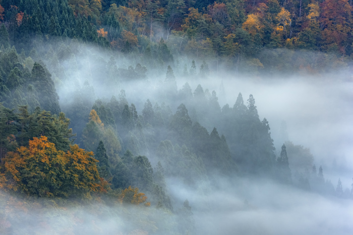 Gifu Prefecture Shirakawa-go Misty Clouds and Villages