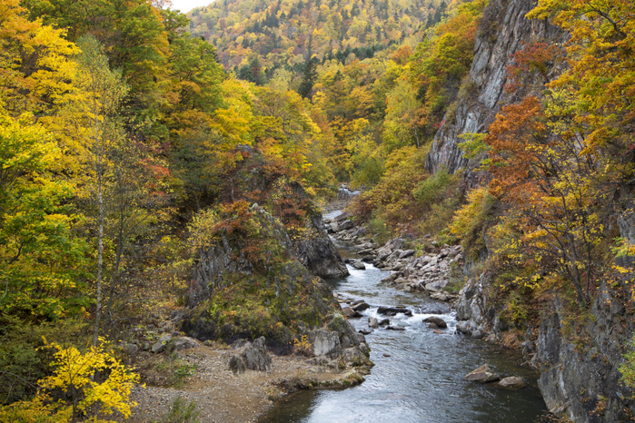 Jozankei, Hokkaido Autumn Leaves