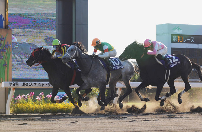Vermilion wins the 9th JBC Classic (G1) Vermilion (left) catches Makoto Sparviero (center) before the finish line to win the JBC Classic, Wonder Speed (right) at Nagoya Race Course on November 3, 2009 <Date>20091103</Date> <Photo taken Location>Nagoya Racecourse