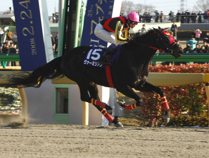 Vermilion/Vermilion Wins Februrary Stakes 25th Februrary Stakes (G1) Vermilion wins after breaking away strongly in the straight line (Feb. 24, 2008) <Date>20080224</Date> <Photo Location>Tokyo Racecourse