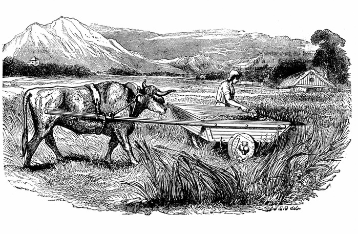 Reconstruction of Ancient Roman reaping cart, as described by Pliny. Aristotle believed that motion was a continuous pushing action, and that objects could only travel in a single direction at any one time, that is, in straight lines, not arcs. Engraving, 1860