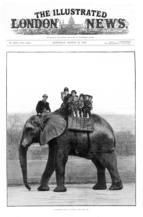 A Farewell Ride on Jumbo'  at the Zoo. This large African elephant was sold by London Zoo in 1882 to the American showman Phineas Taylor Barnum (1810-1891) for his circus which became known as the 'Greatest Show on Earth'. From 'The Illustrated London News' (London, 18 March 1882). Wood engraving.