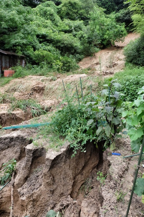 Record rainfall in western Japan June 8, 2018. A mudslide cuts through a vegetable patch in Hojo, Ehime, Shikoku. Record rainfall has caused landslides all over western Japan.