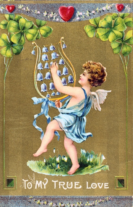 To My True Love, c1910. American Valentine  card.  Cupid dances on grass with naturalised Snowdrops and is playing a lyre of Bluebells. Above him are red hearts symbolising love and four-leafed Shamrock for luck.  In the language of flowers the Snowdrop (Galanthus nivalis) stand for Consolation and the Blueball (Scilla noscripta) for Kindness.  Shamrock or Wood Sorrel (Oxalis acetosella) is a symbol of Ireland.  The identity of St Valentine is uncertain, the most popular candidates are Valentine, bishop of Terni (3rd century) or a Roman Christian convert martyred c270).  St Valentine's Day, celebrated on 14 February, probably replaces the Roman pagan festival of Lupercalia.