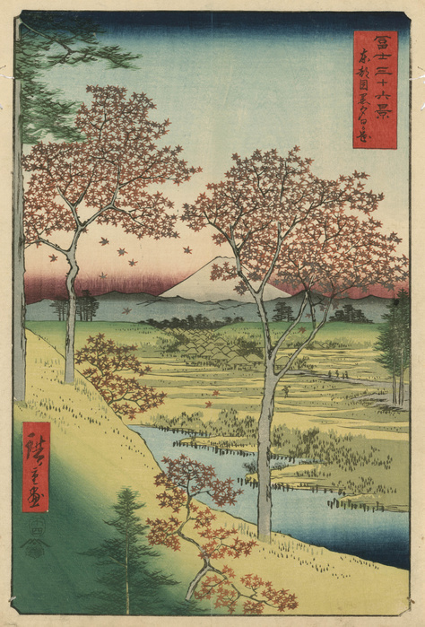 View from Meguro, Mt. Twilight Hill at Meguro: From  Thirty six View of Mount Fuji   1858. Utagawa Hiroshige  1797 1858  Japanese Ukiyo e artist. Fuji seen from Meguro, Tokyo, red maple trees in foreground. Landscape with streams a a village.