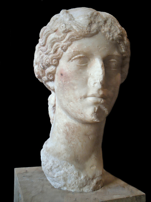 Vipsania Agrippina  known as Agrippina Major or Agrippina the Elder, 14 BC  33 AD) granddaughter of the Emperor Augustus. Agrippina was wife of Germanicus, second granddaughter of Augustus, sister-in-law, stepdaughter and daughter-in-law of Tiberius, mother of Caligula, sister-in-law of Claudius and maternal grandmother of  Nero.