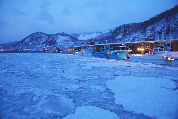 Pollack boats and morning drift ice at Rausu Port, Hokkaido