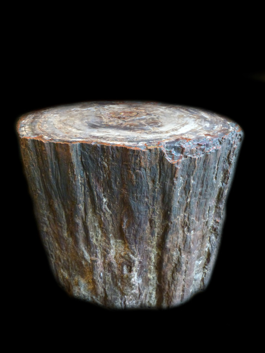 Stone from wood.  This is a petrified tree trunk.  (Arizona, USA).  When a tree dies the wood usually rots, but under certain conditions the plant issue may be replaced by minerals and it turns to stone.