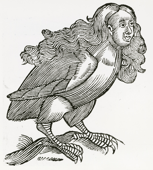 'In Greek mythology a Harpy was a filthy, stinking  monster with a woman's head and bird's body, contaminating everything it came near. Woodcut from a 1669 edition of ''Historiae animalium' 'by Conrad Gesner.'