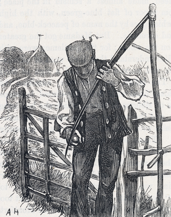 Haymaker sharpening his scythe. Engraving, 1875.