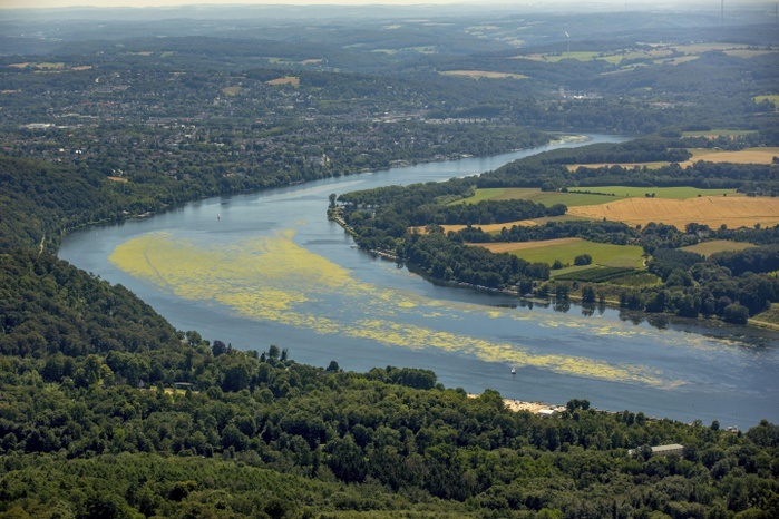 Aerial view, waterweed Elodea, Lake Baldeney, Essen, Ruhr district, North Rhine-Westphalia, Germany, Europe, Photo by Hans Blossey