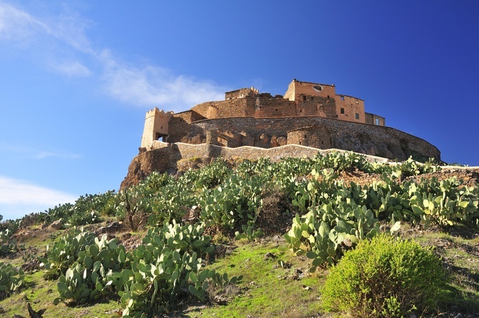 Ksar Tizourgane surrounded by Prickly Pears, Indian Fig Opuntias, Barbary Figs or Cactus Pears (Opuntia ficus indica), Tizourgane, Souss-Massa-Draâ, Antiatlas, Morocco, Africa, Photo by Peter Giovannini