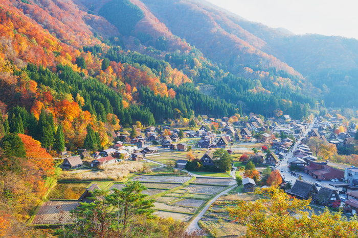 Ogimachi Gassho Zukuri Village, Shirakawa go, Shirakawa Village, Gifu Prefecture World Heritage  cultural, natural, etc. 