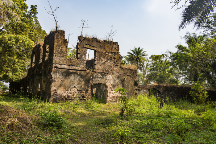 Old ruins on the former sklave colony Bunce island, Sierra Leone Old ruins of the former slave colony on Bunce island, Sierra Leone, West Africa, Africa, Photo by Michael Runkel