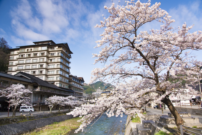 Yamagata Prefecture Cherry blossoms in Onomi Onsen