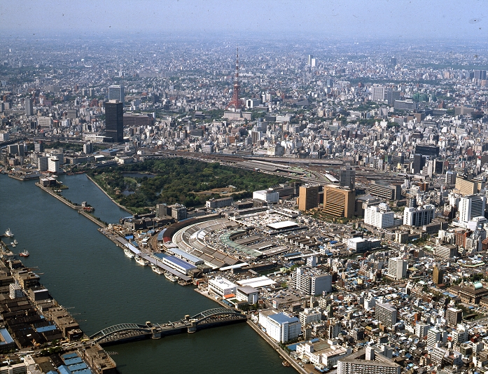 From the streets of the world  Tokyo from the sky  1995   Japan: 1995 Tokyo   Tsukiji fish market and Hamarikyu garden in bird s eye view of Tokyo.  Photo by Fujifotos AFLO   3618 
