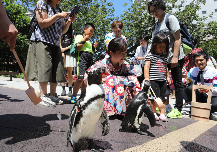 Lingering summer heat continues in various locations, with penguins appearing to sprinkle water. August 27, 2018, Tokyo, Japan   People splash water to penguins to cool off as they walk around at the Aqua Park Shinagawa aquarium in Tokyo on Monday, August 27, 2018. People sprinkle water onto a passageway to cool off for uchimizu as Tokyo s temperature climbed over 35 degree Celsius.             Photo by Yoshio Tsunoda AFLO  LWX  ytd  