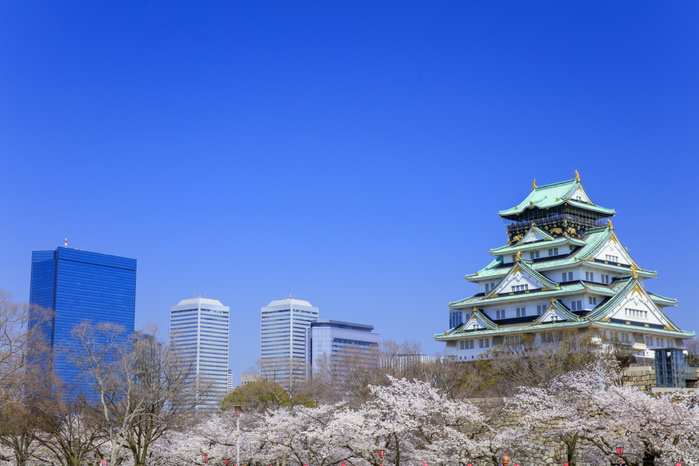 Osaka Castle Keep and Osaka Business Park in Cherry Blossom Blossom Tenshukaku from Nishinomaru