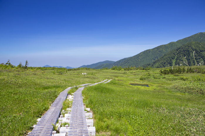 Toyama Prefecture Tateyama Kurobe Alpine Route, Midagahara