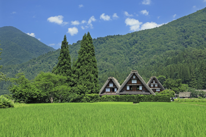 Shirakawa-go Gassho-Zukuri Village, Gifu Prefecture