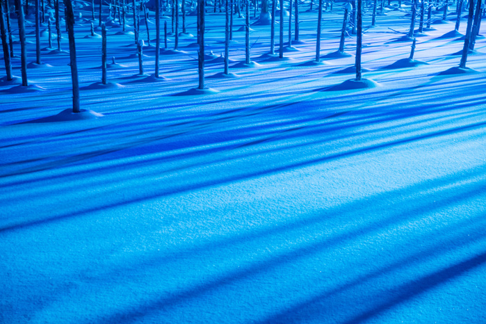 Snowy landscape of Biei, Hokkaido