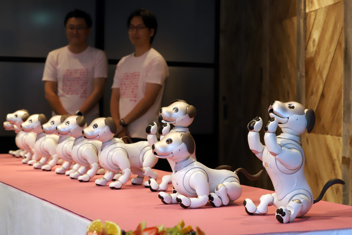 GINZA PLACE celebrates its 2nd anniversary with aibo September 29, 2019, Tokyo, Japan   Japanese electronics giant Sony s robot dogs  aibo  sing a birthday song and perform dancing at a special event  Celebration party with aibo  for the 2nd anniversary of the Ginza Place building which has Sony s showroom in Tokyo on Saturday, September 29, 2018.    Photo by Yoshio Tsunoda AFLO  LWX  ytd 