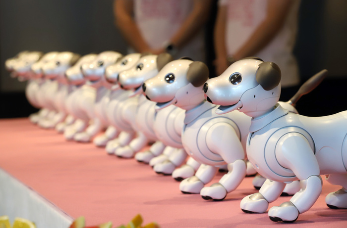 GINZA PLACE celebrates its 2nd anniversary with aibo September 29, 2019, Tokyo, Japan   Japanese electronics giant Sony s robot dogs  aibo  sing a birthday song and perform dancing at a special event  Celebration party with aibo  for the 2nd anniversary of the Ginza Place building which has Sony s showroom in Tokyo on Saturday, September 29, 2018.    Photo by Yoshio Tsunoda AFLO  LWX  ytd 