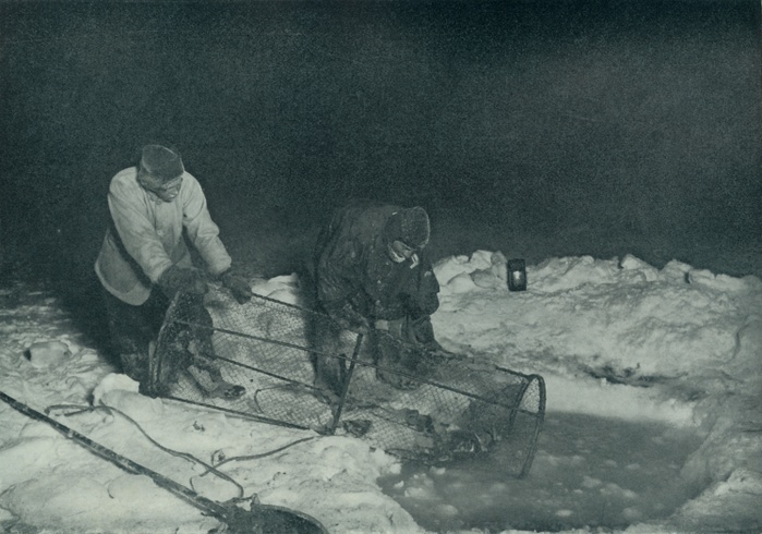  Dr. Atkinson and Clissold Hauling Up The Fish Trap , 28 May 1911,  1913 . Artist: Herbert Ponting.  Dr. Atkinson and Clissold Hauling Up The Fish Trap,  photographed in the midst of the long winter night by flashlight, in a temperature 40 degrees below zero Fah.  , 28 May 1911,  1913 . Dr Edward Atkinson  1881 1929 , the expedition s doctor, and cook Thomas Clissold pulling up a fish trap from below the ice, where fish are able to survive. The fish would have instantly frozen to death as the trap was brought out of the water into the air. The final expedition of British Antarctic explorer Captain Robert Falcon Scott  1868 1912  left London on 1 June 1910 bound for the South Pole. The Terra Nova Expedition, officially the British Antarctic Expedition  1910 1913 , included a geologist, a zoologist, a surgeon, a photographer, an engineer, a ski expert, a meteorologist and a physicist among others. Scott wished to continue the scientific work that he had begun when leading the Discovery Expedition to the Antarctic in 1901 04. He also wanted to be the first to reach the geographic South Pole. Scott, accompanied by Dr Edward Wilson, Captain Lawrence Oates, Lieutenant Henry Bowers and Petty Officer Edgar Evans, reached the Pole on 17 January 1912, only to find that the Norwegian expedition under Amundsen had beaten them to their objective by a month. Delayed by blizzards, and running out of supplies, Scott and the remainder of his team died at the end of March. Their bodies and diaries were found eight months later. From Scott s Last Expedition, Volume I.  Smith, Elder   Co., London, 1913 