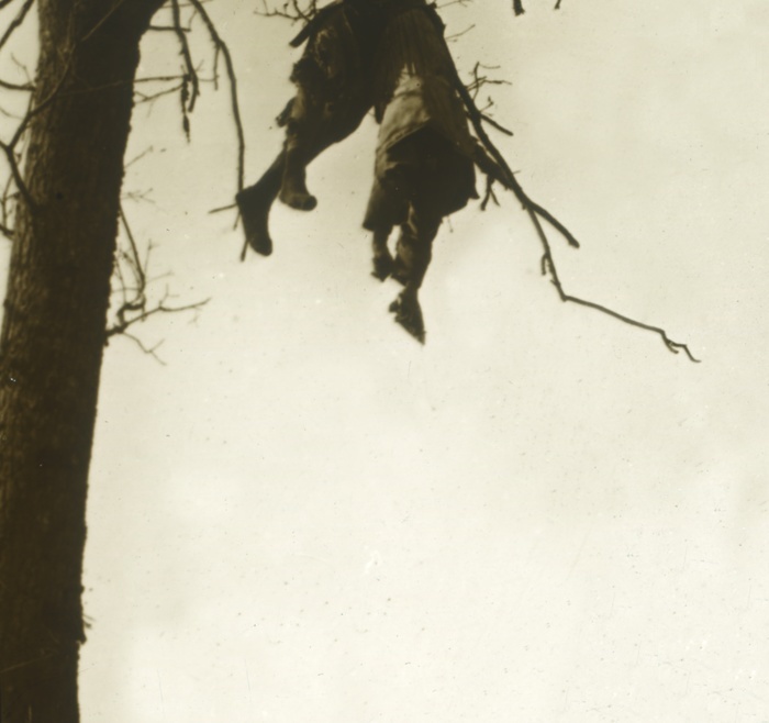Body in tree, Bois d Avocourt, Verdun, northern France, c1914 c1918.  Artist: Unknown. Body in tree, Bois d Avocourt, Verdun, northern France, c1914 c1918. Dead soldier dangling from a tree limb, from the blast of a shell explosion. Photograph from a series of glass plate stereoview images depicting scenes from World War I  1914 1918 .