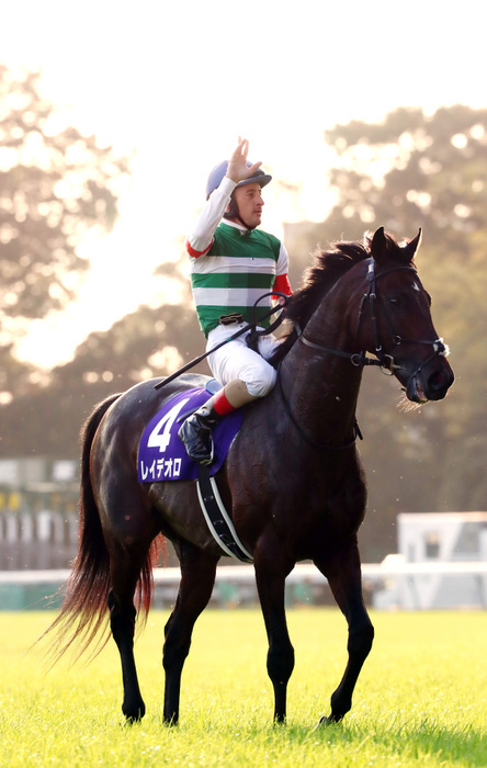 2018 Tennoushou Autumn  G1  won by Ray Deoro October 28, 2018, Tokyo, Japan   French jockey Christophe Lemaire riding Rey de Oro reacts to audience after he wins the Tenno Sho, Autumn at the Tokyo Racecouse in Tokyo on Sunday, October 28, 2018. Rey de Oro wins 2,000m race with a time of 1 minutes 56.8 seconds, while Joao Moreira of Brazil riding Sungrazer finished the second and Yuga Kawada riding Kiseki finished the third.     Photo by Yoshio Tsunoda AFLO  LWX  ytd 