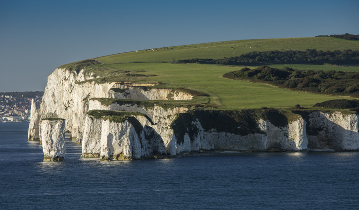 United Kingdom High chalk sea cliffs and stacks, Old Harry Rocks, Handfast Point, Isle of Purbeck, Dorset, England, September, Photo by Bob Gibbons