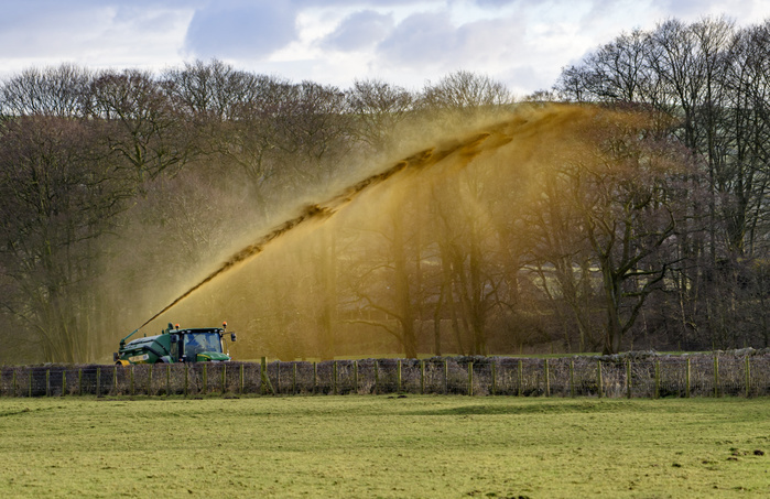 Blowing dairy cow slurry over a hedge in to a field after a spell of wet weather keeps tractors off the land,  Lancashire, United Kingdom. Photo by John Eveson