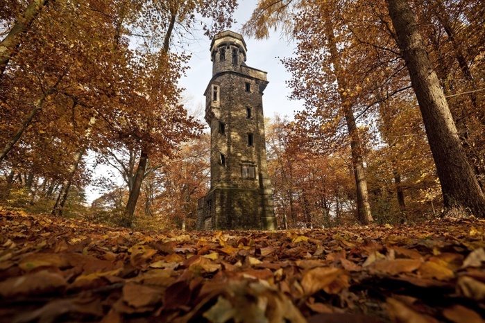 Von-der-Heydt-Tower in autumn, Wuppertal, Bergisches Land, North Rhine-Westphalia, Germany, Europe, Photo by Stefan Ziese