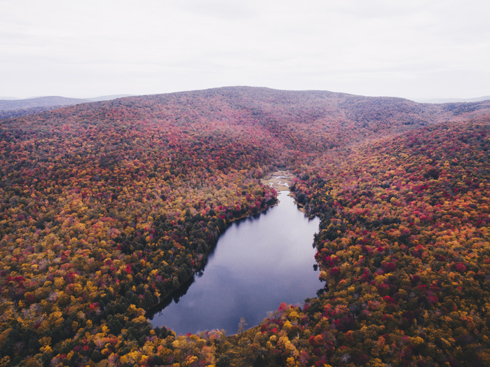 New York, United States of America High angle scenic view of lake amidst forest against sky during autumn