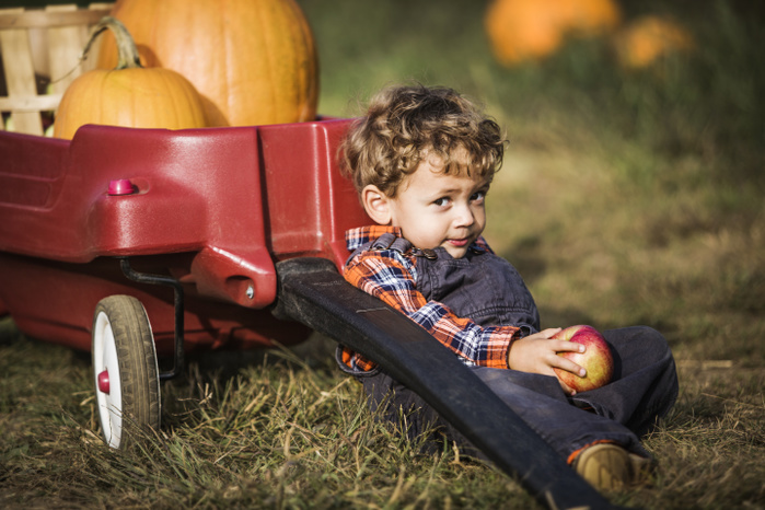 Portrait of boy holding apple while leaning by cart on field