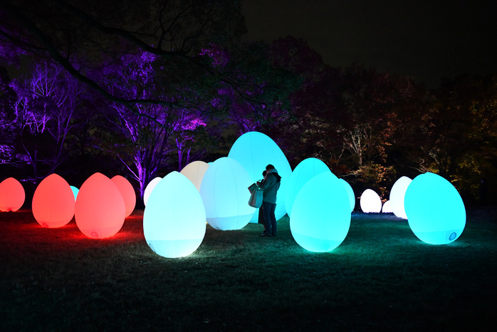 Lake Miyazawa  Forest and Lake Light Festival  by Lake Miyazawa November 29, 2018, Han no City, Japan   Lake Miyazawa and the forest on its shore are transformed into an interactive digital art space with Lake Miyazawa and the forest on its shore are transformed into an interactive digital art space with hundreds of balloons changing colors and sounds due to the presence of people, a part of the art project  Digitized Nature  in Han no City, in the northwestern suburbs of Tokyo on Thursday, November 29, 2018.  Photo by Natsuki Sakai AFLO  AYF  mis 