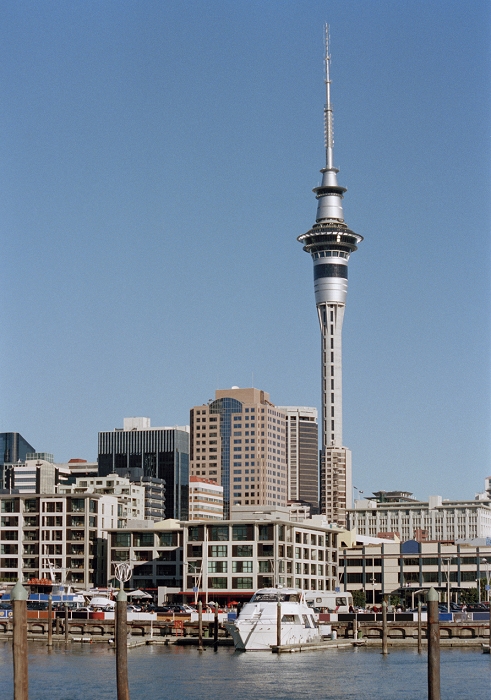 Sky Tower and harbor, Auckland, New Zealand