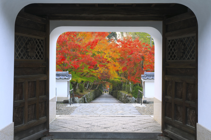 Autumn leaves on Kotozaka seen through the gate of Koseiji Temple, Kyoto