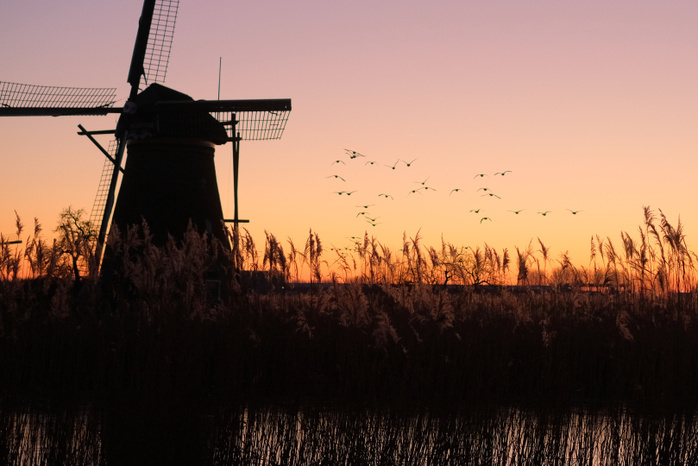 Kinderdijk, The Netherlands Geese fly above UNESCO World Heritage Kinderdijk windmills January 20, 2019 in Kinderdijk, near Rotterdam, Netherlands .  Photo by Yuriko Nakao AFLO   