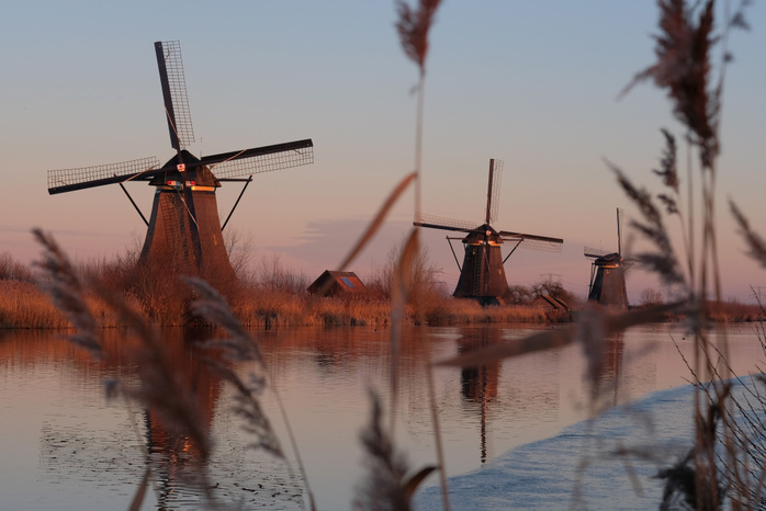 Kinderdijk, The Netherlands UNESCO World Heritage Kinderdijk windmills are seen past reed grasses January 20, 2019 in Kinderdijk, near Rotterdam, Netherlands .  Photo by Yuriko Nakao AFLO   