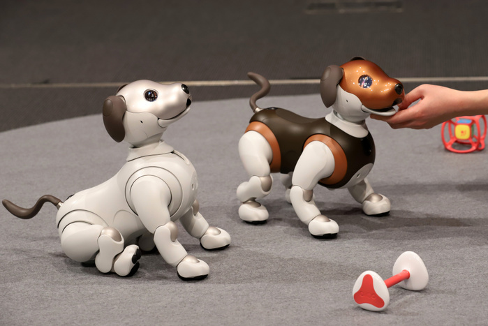 Sony  aibo  Announces New Service January 23, 2019, Tokyo, Japan   Japanese electronics giant Sony introduces the newly designed robot dog  aibo  which will go on sale on February 1 at the company s headquarters in Tokyo on Wednesday, January 23, 2019. Sony also annouced the new service for  aibo  as the patrol in use s house to remotely monitor children or elderly people with a security company Secom.    Photo by Yoshio Tsunoda AFLO  LWX  ytd 